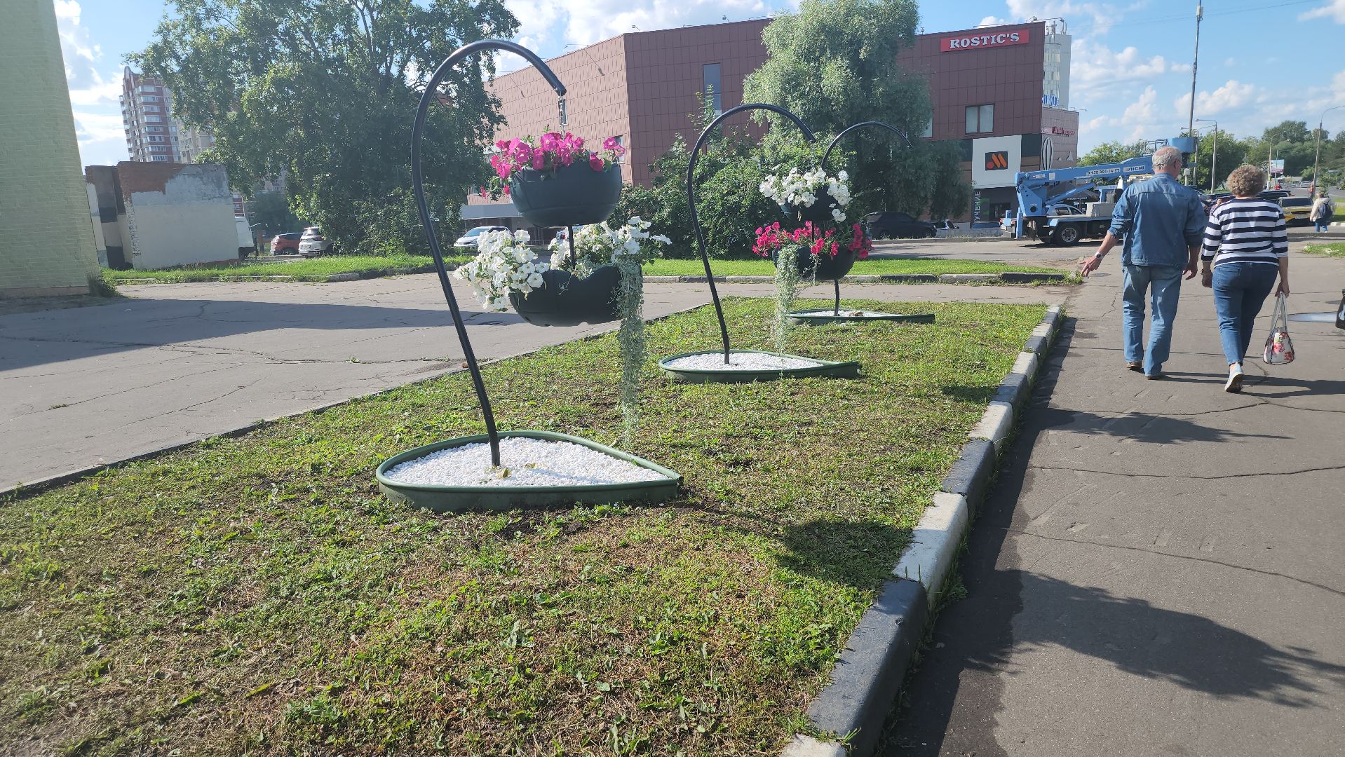 долгопрудный, владислав юдин, клумбы, кашпо, петуньи, дихондры,