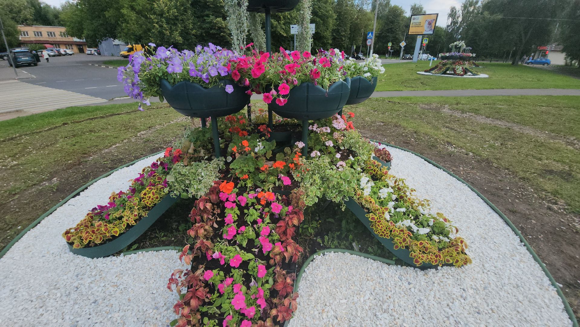 долгопрудный, владислав юдин, клумбы, кашпо, петуньи, дихондры,
