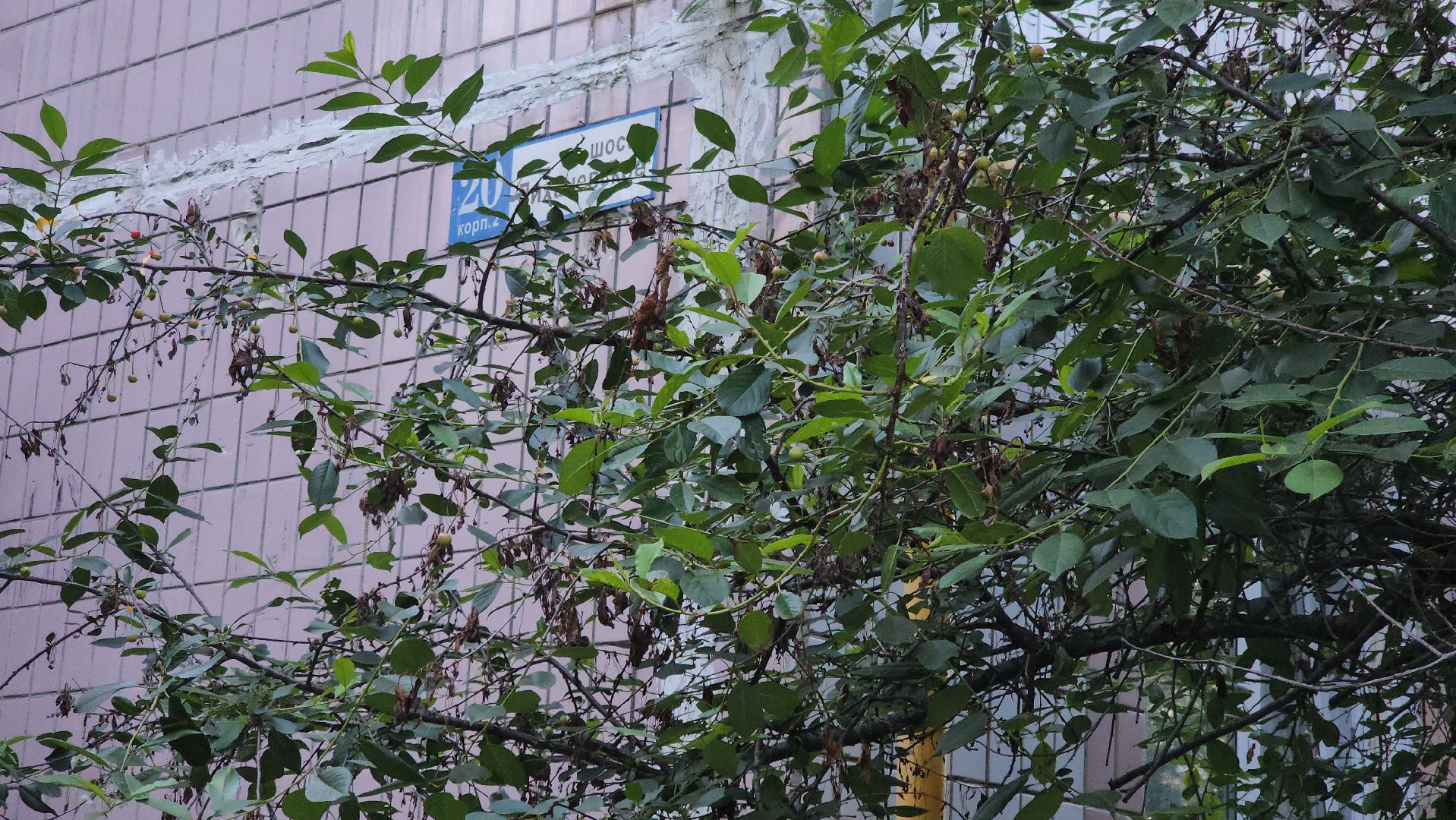 долгопрудный, выездная администрация, детские игровые площадки,