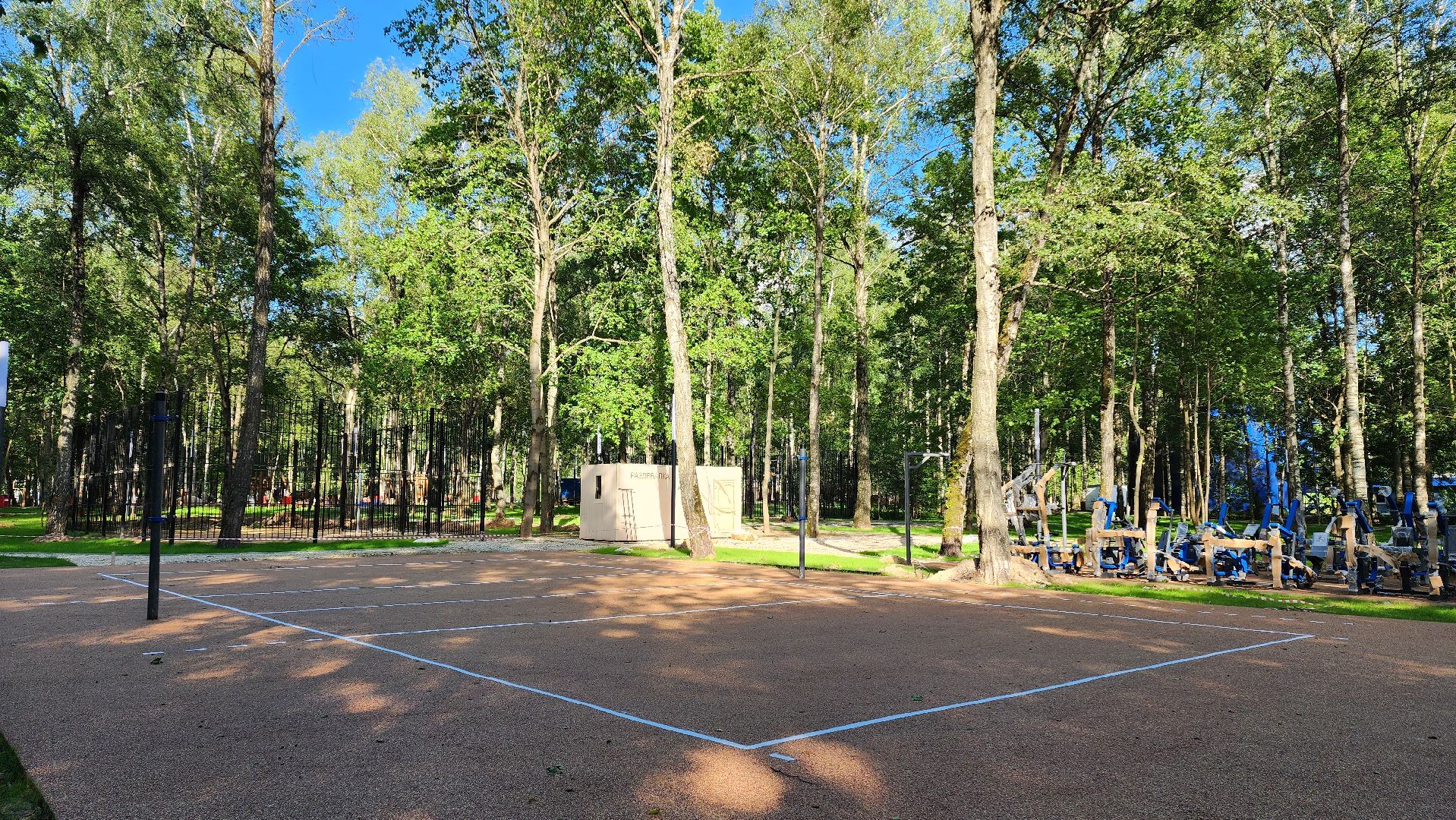 Парк, Реконструкция, Спорт, Площадка, Лобня,