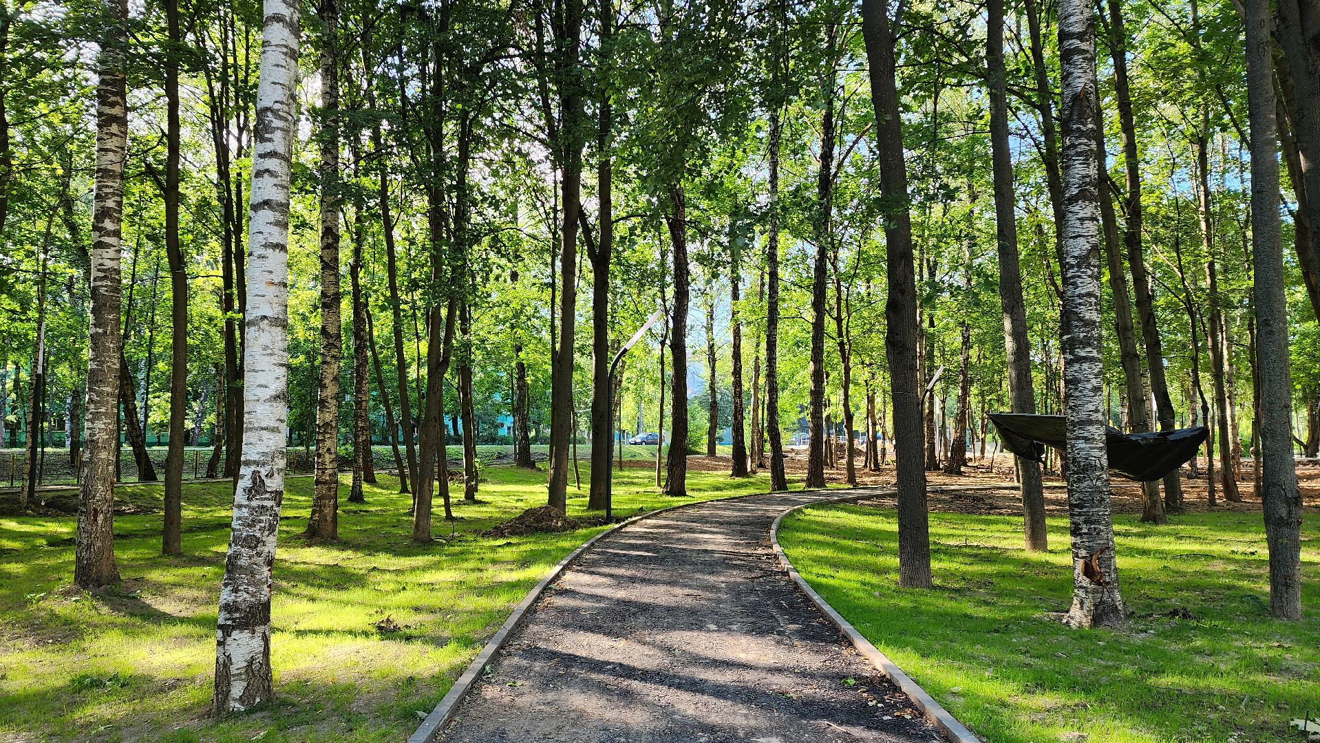 Парк, Реконструкция, Спорт, Площадка, Лобня,