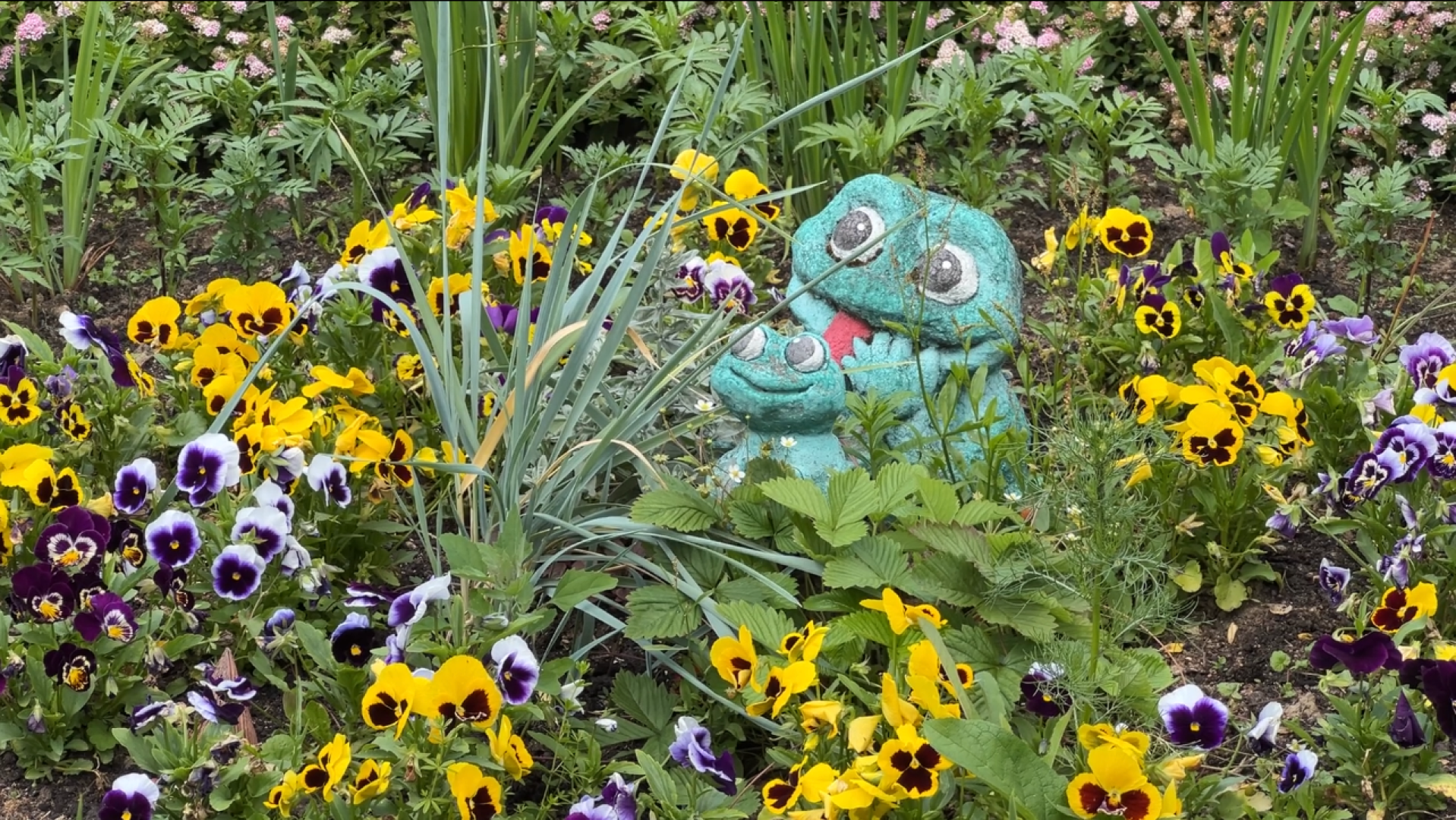 химки, благоустройство, больница, садоводство, клумбы,