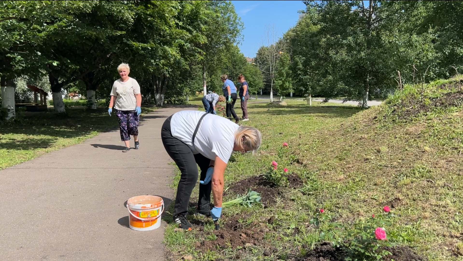 химки, благоустройство, больница, садоводство, клумбы,