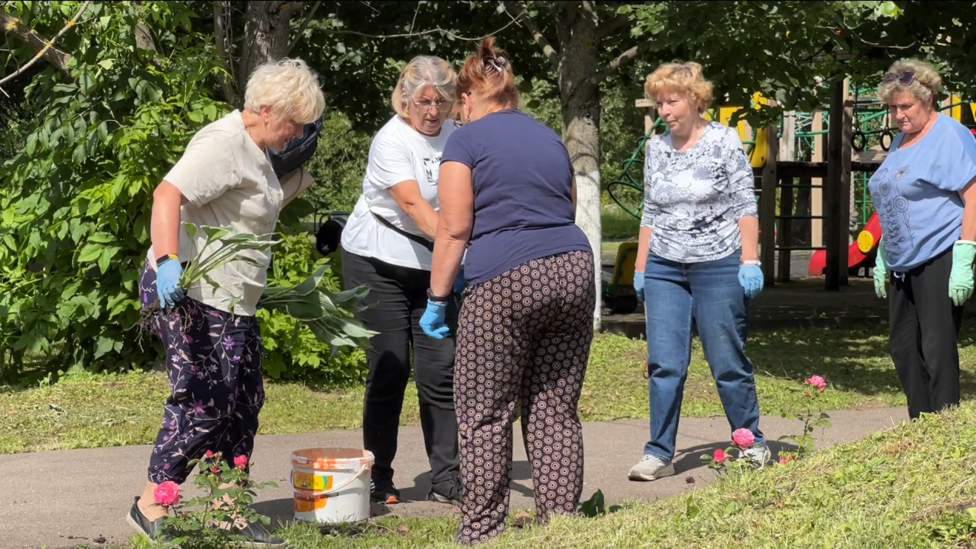 химки, благоустройство, больница, садоводство, клумбы,