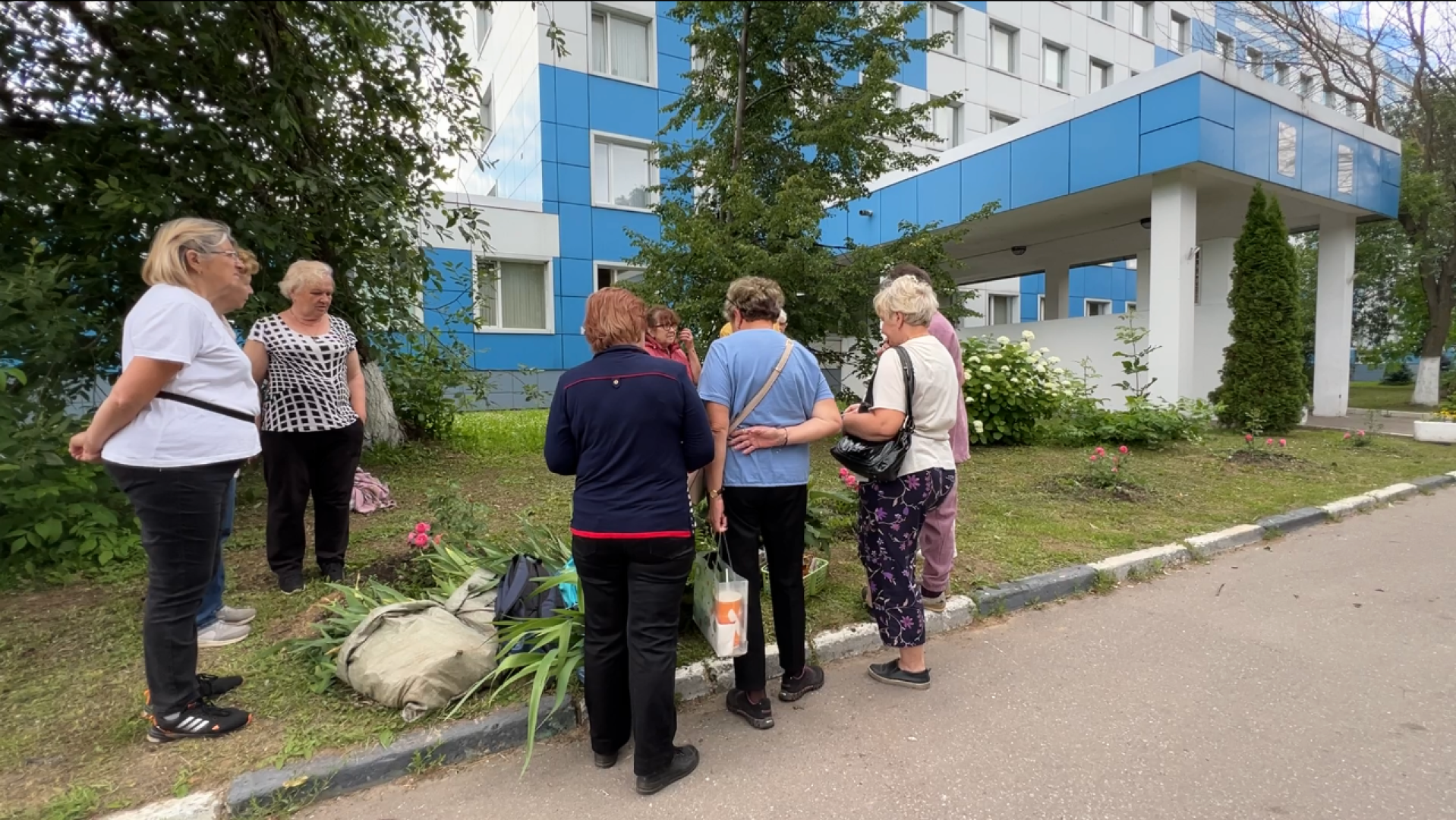 химки, благоустройство, больница, садоводство, клумбы,