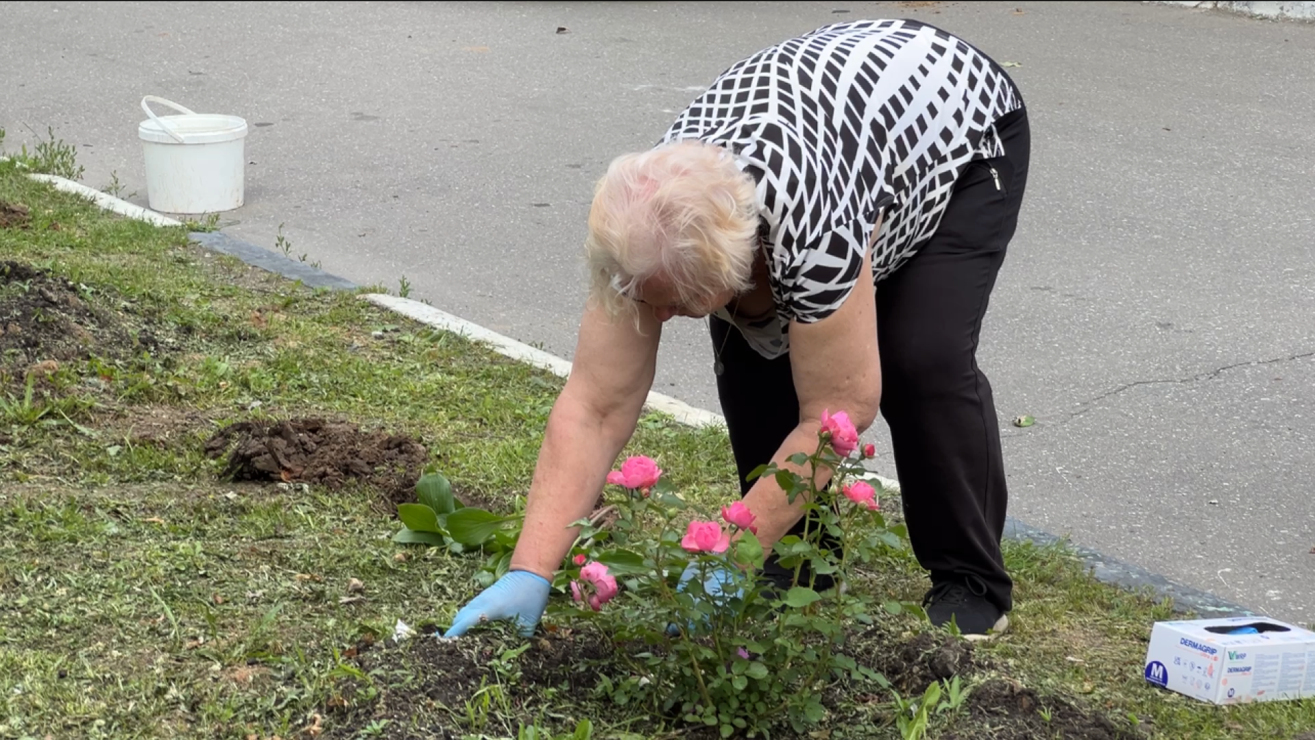 химки, благоустройство, больница, садоводство, клумбы,