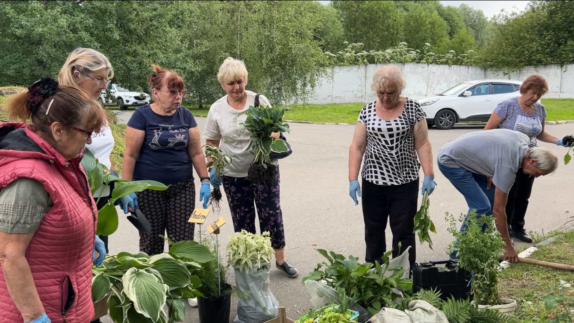 химки, благоустройство, больница, садоводство, клумбы,