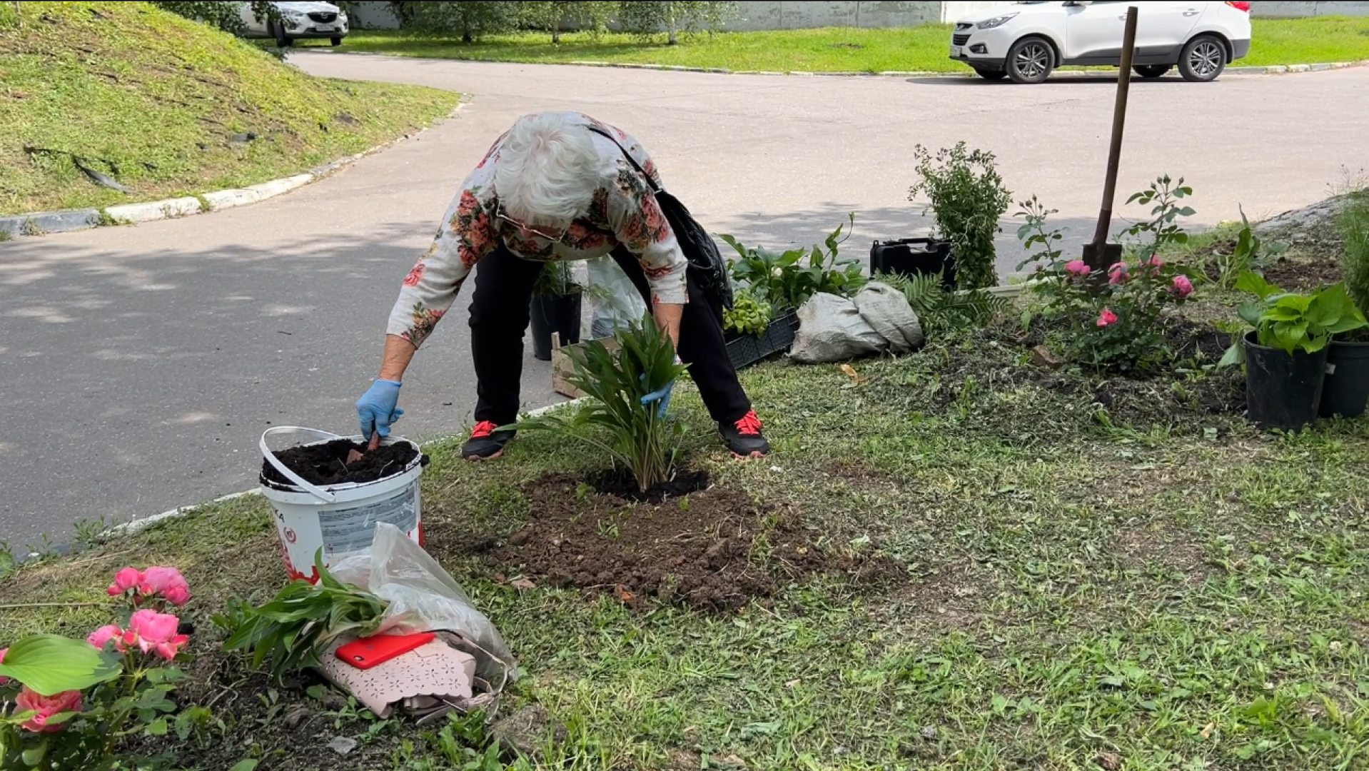 химки, благоустройство, больница, садоводство, клумбы,