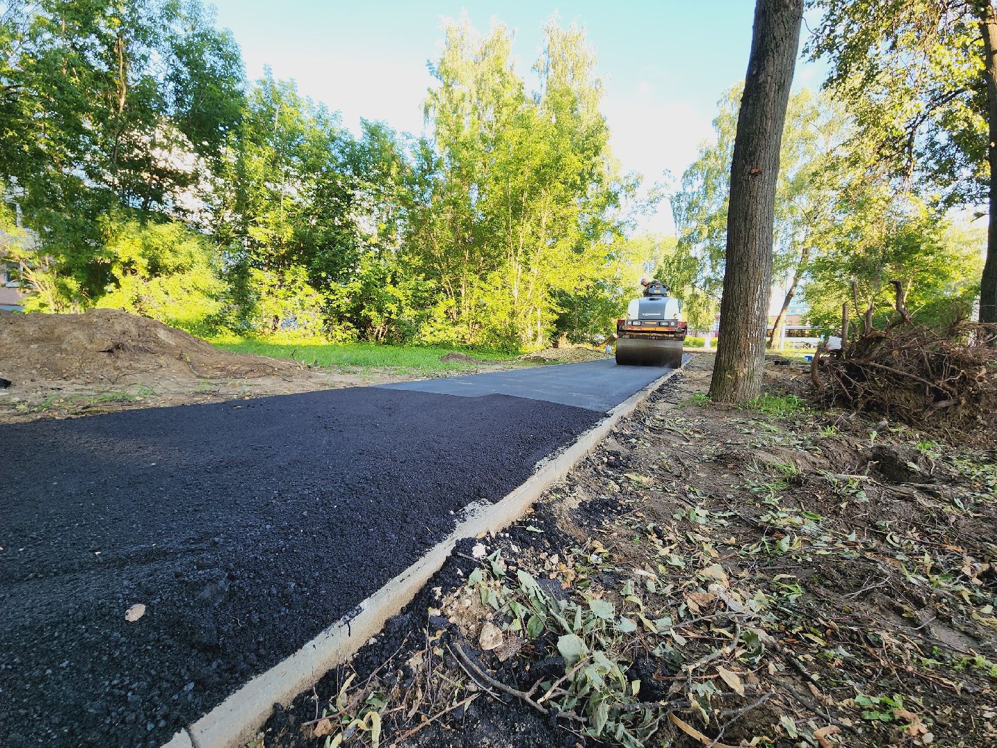 Егорьевск, Народная тропа, Дорожка, Асфальт, Подмосковье, Московская область,