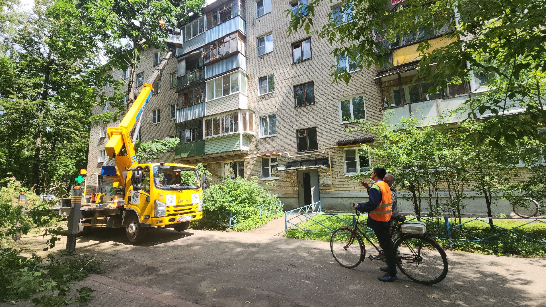 пушкино, благоустройство, удаление деревьев, обрезка деревьев,заявка жителей,