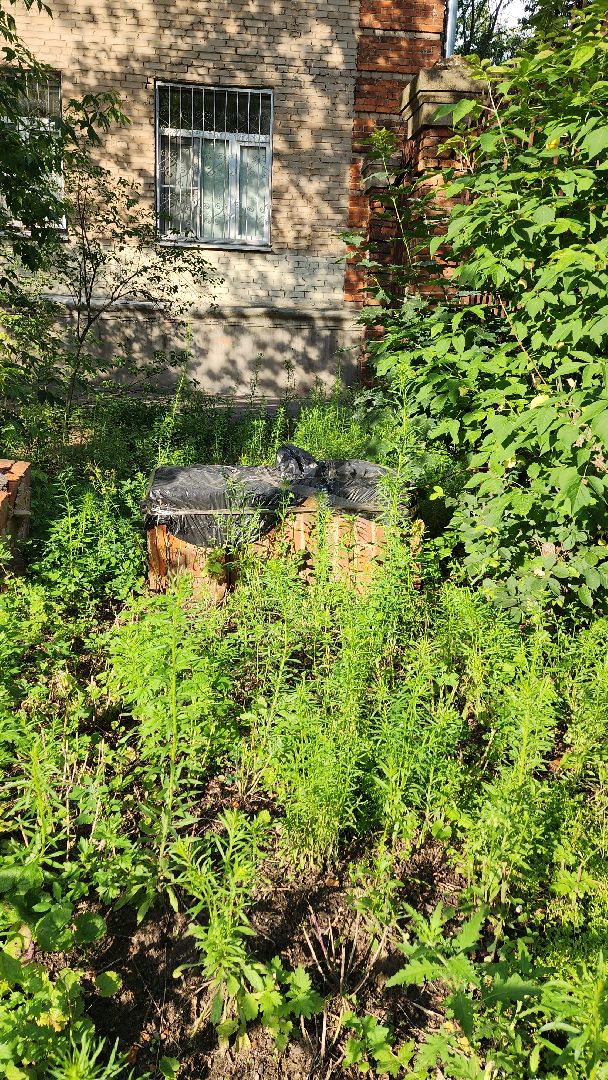 борис аубакиров, выездная администрация, колонны, ремонт, въездная группа, ул Чкалова, ул Маяковского, ул Советская, дворовая территория,