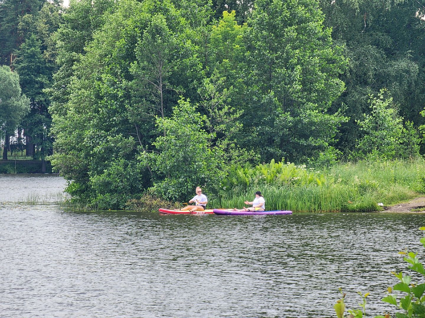 ногинск, общество, жители, пляж, муниципальный пляж, благоустройство, купальный сезон,