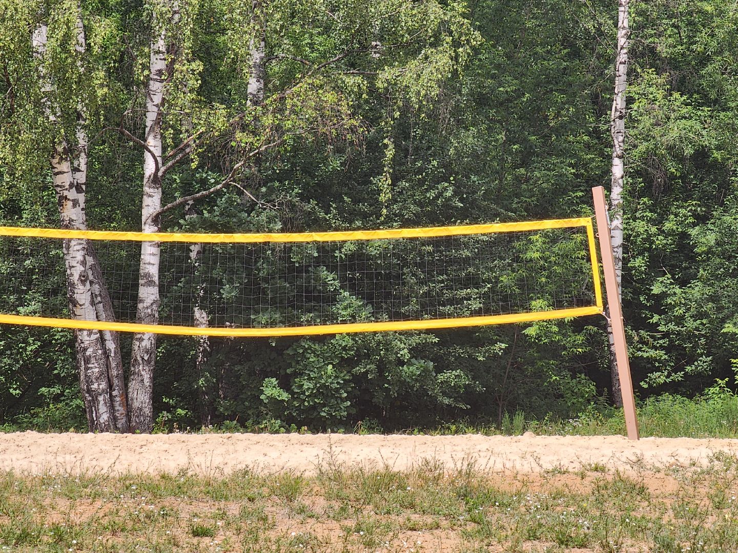 ногинск, общество, жители, пляж, муниципальный пляж, благоустройство, купальный сезон,