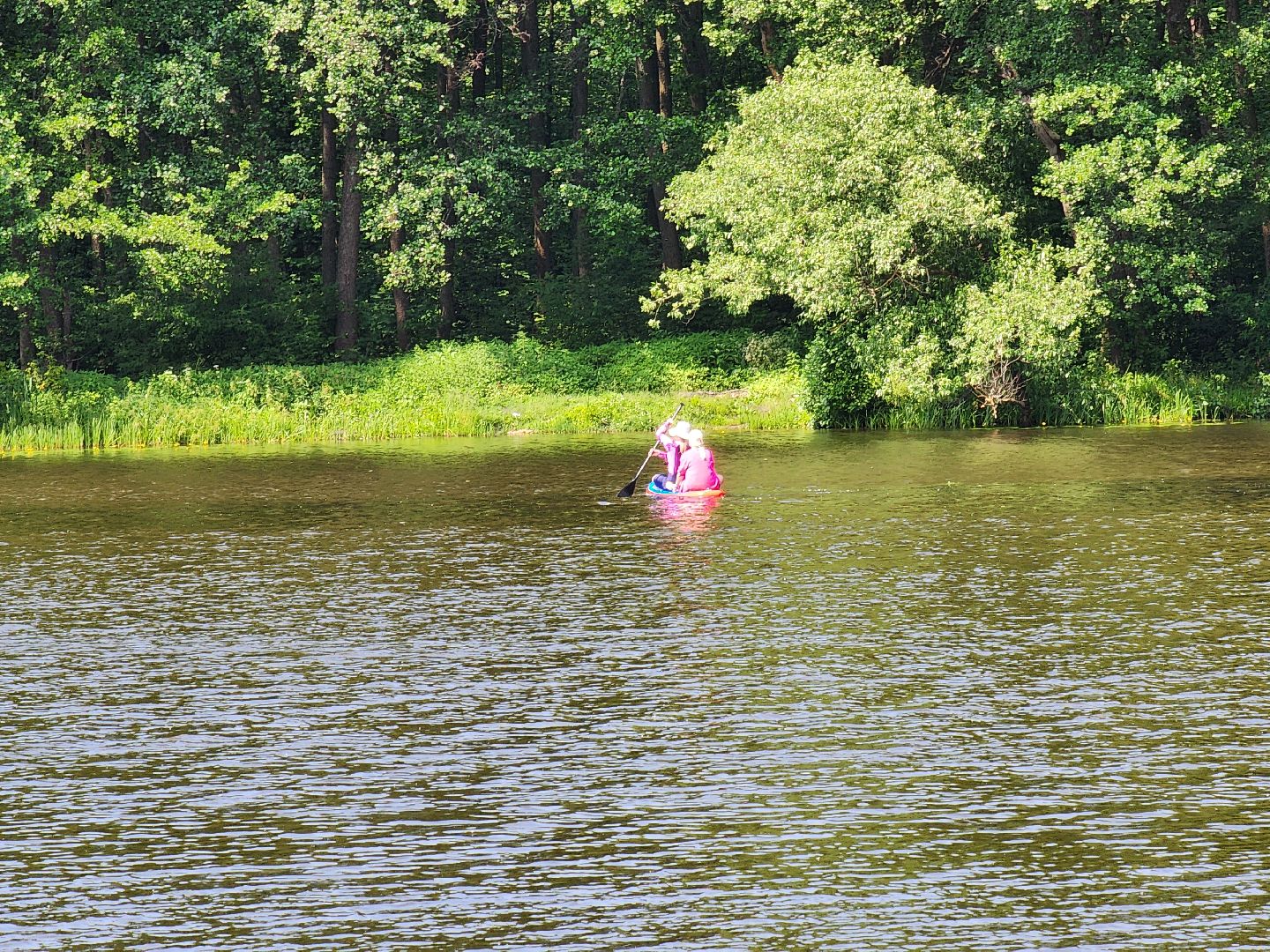 ногинск, общество, жители, пляж, муниципальный пляж, благоустройство, купальный сезон,