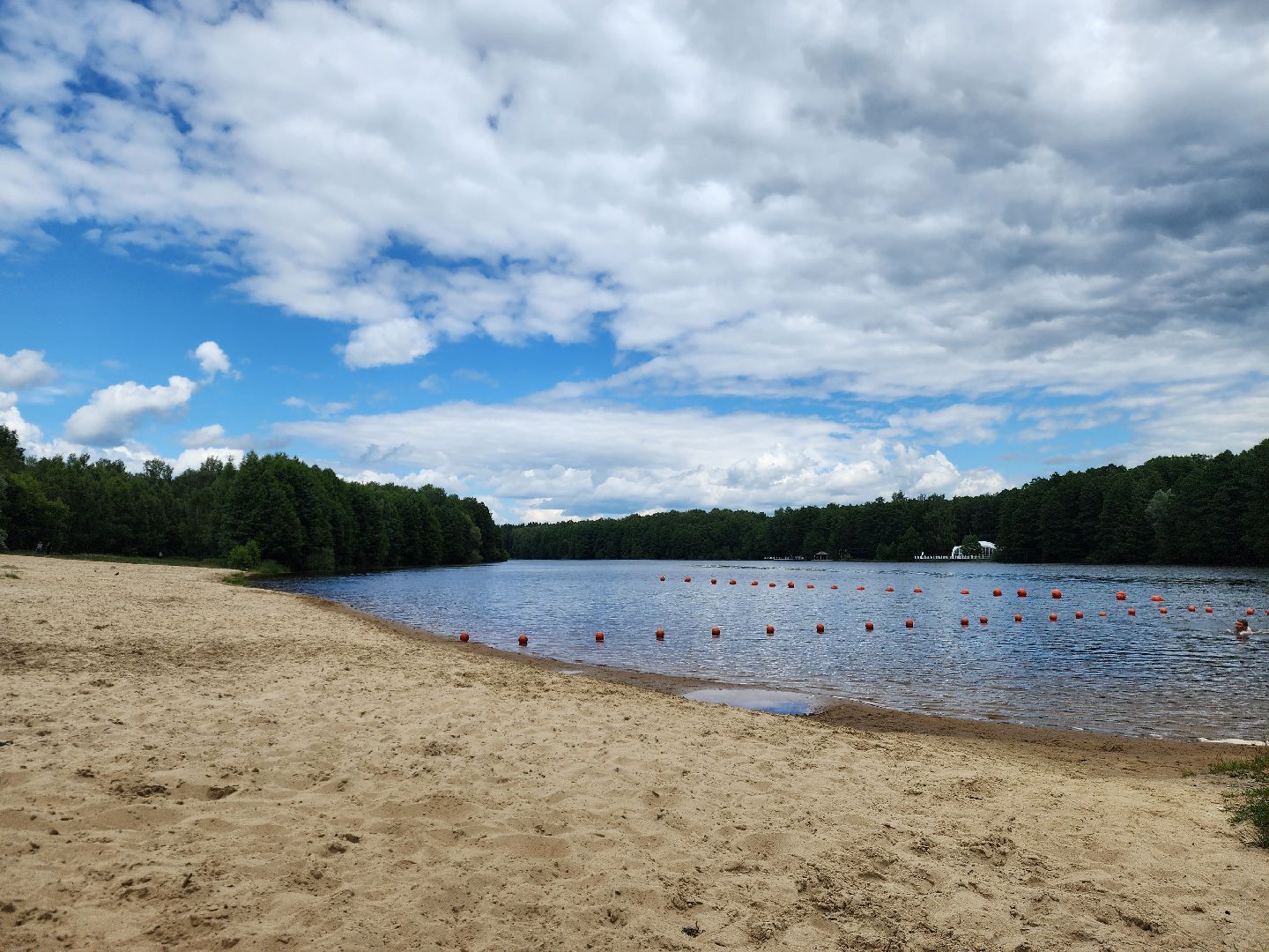 ногинск, общество, жители, пляж, муниципальный пляж, благоустройство, купальный сезон,