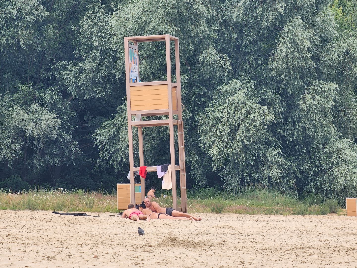 ногинск, общество, жители, пляж, муниципальный пляж, благоустройство, купальный сезон,