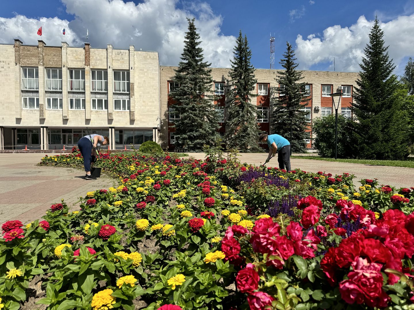 шаховская, клумбы, коммунальная служба, цветы,