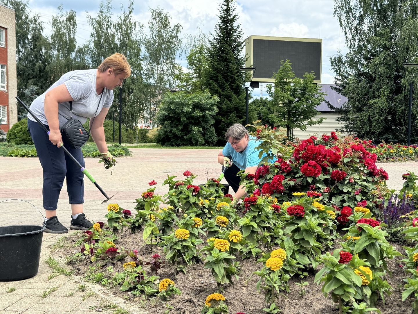 шаховская, клумбы, коммунальная служба, цветы,