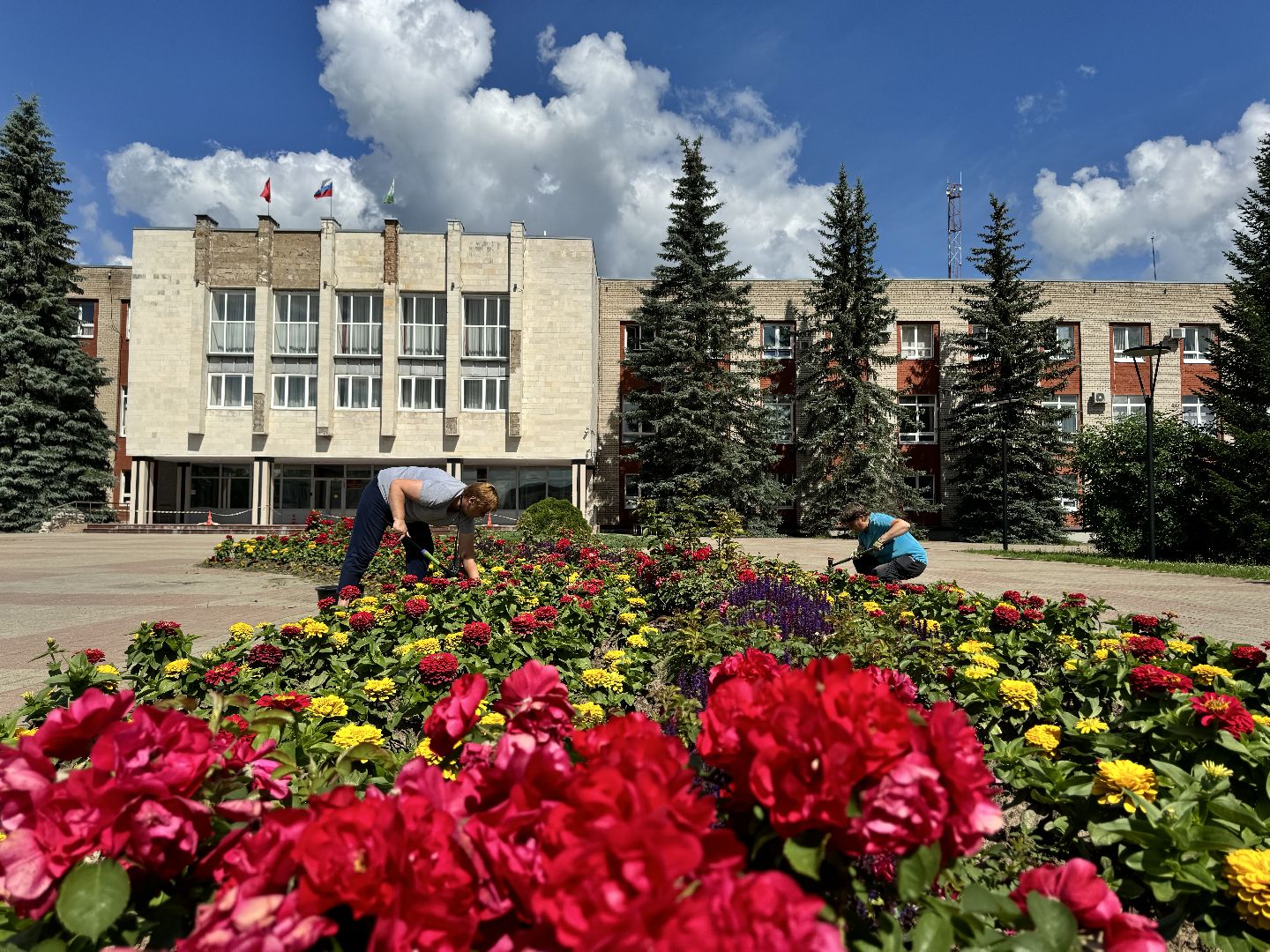 шаховская, клумбы, коммунальная служба, цветы,