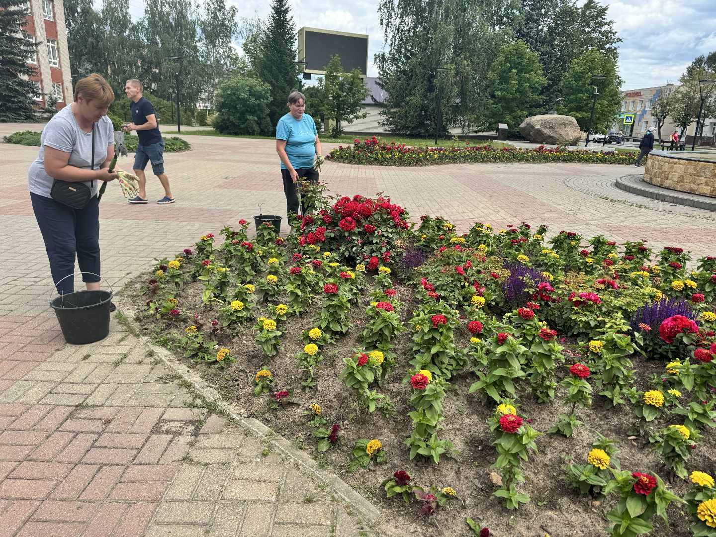 шаховская, клумбы, коммунальная служба, цветы,
