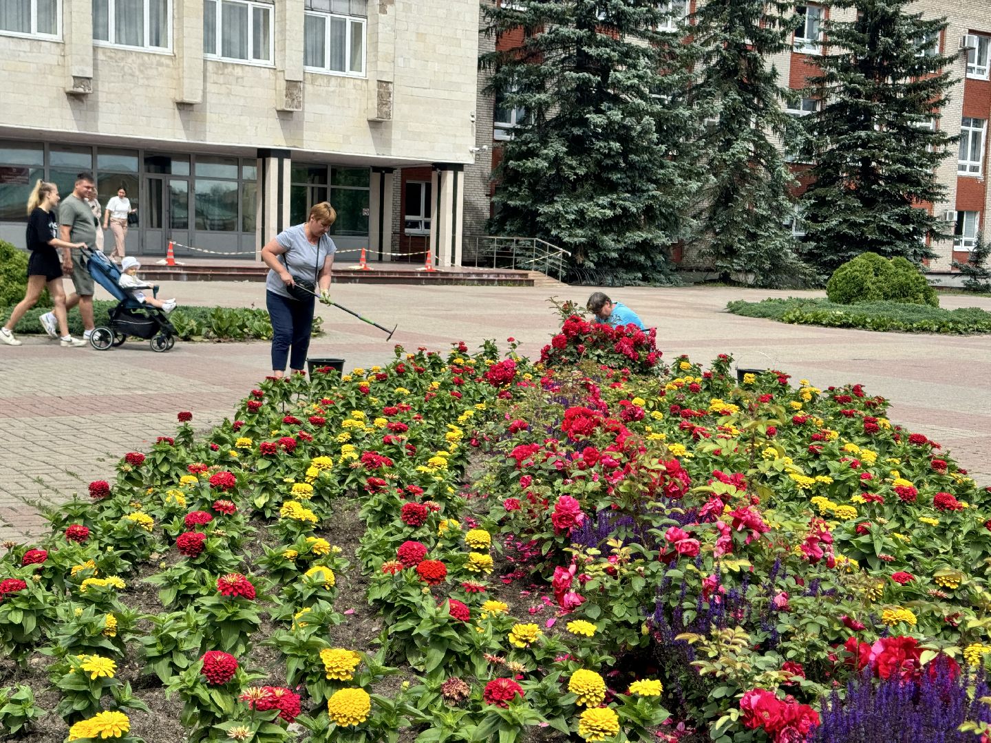 шаховская, клумбы, коммунальная служба, цветы,