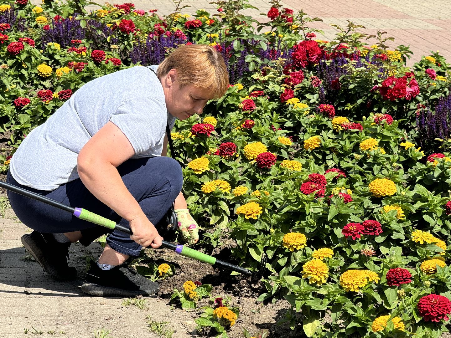 шаховская, клумбы, коммунальная служба, цветы,