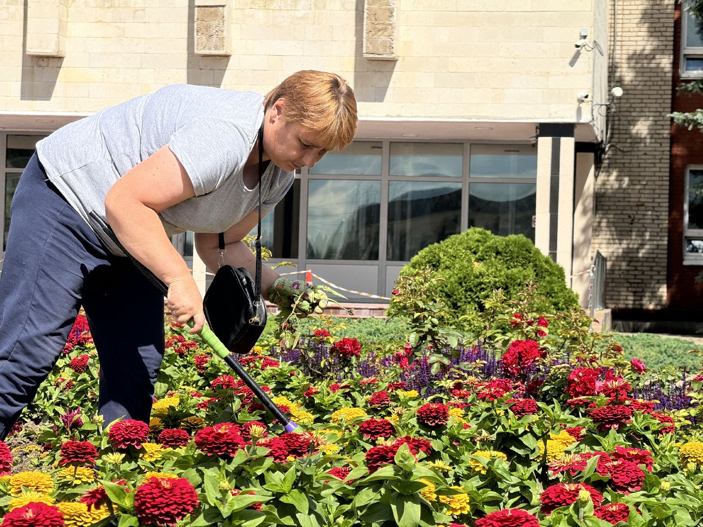 шаховская, клумбы, коммунальная служба, цветы,