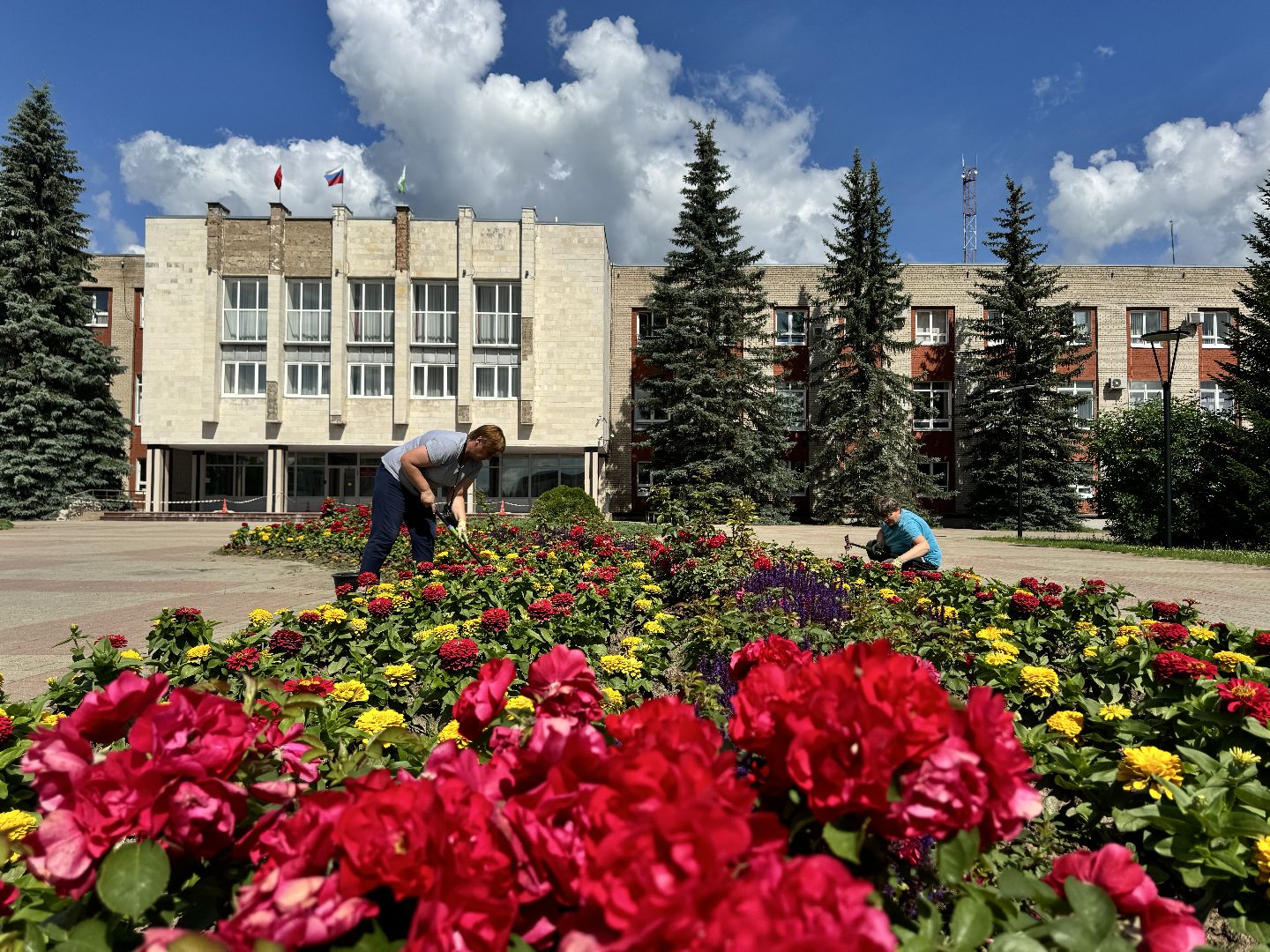 шаховская, клумбы, коммунальная служба, цветы,