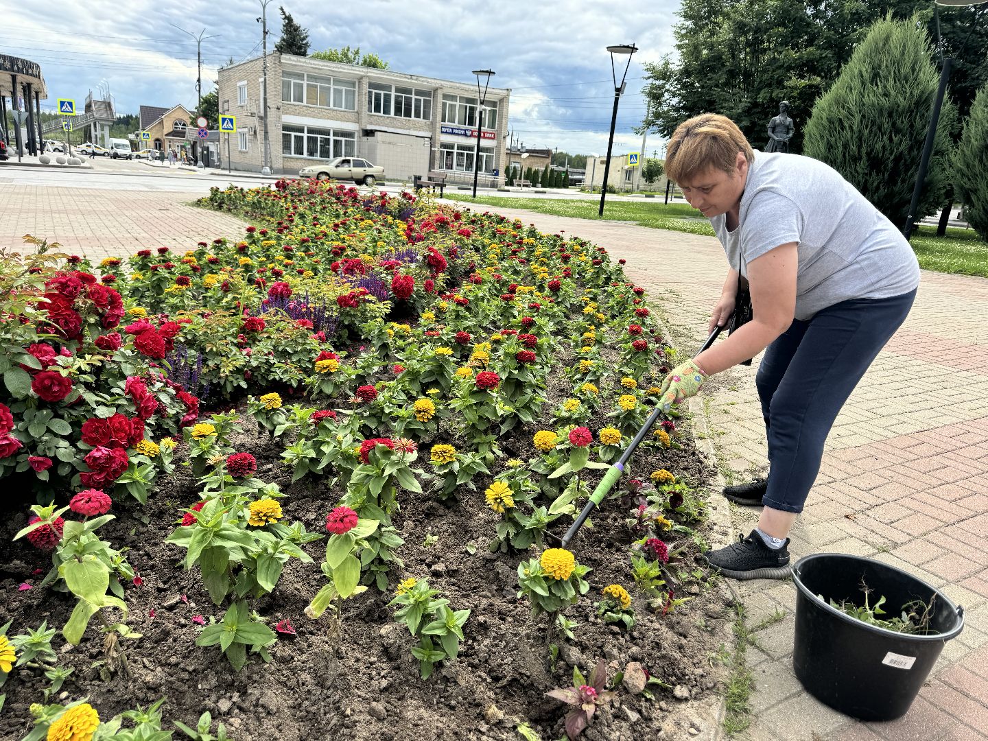 шаховская, клумбы, коммунальная служба, цветы,