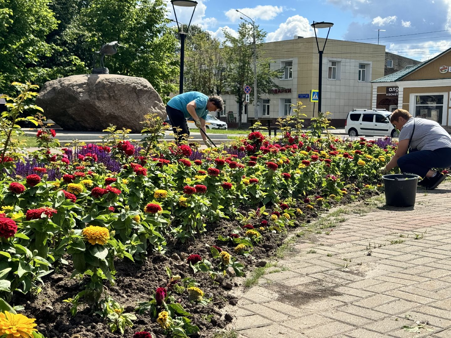 шаховская, клумбы, коммунальная служба, цветы,