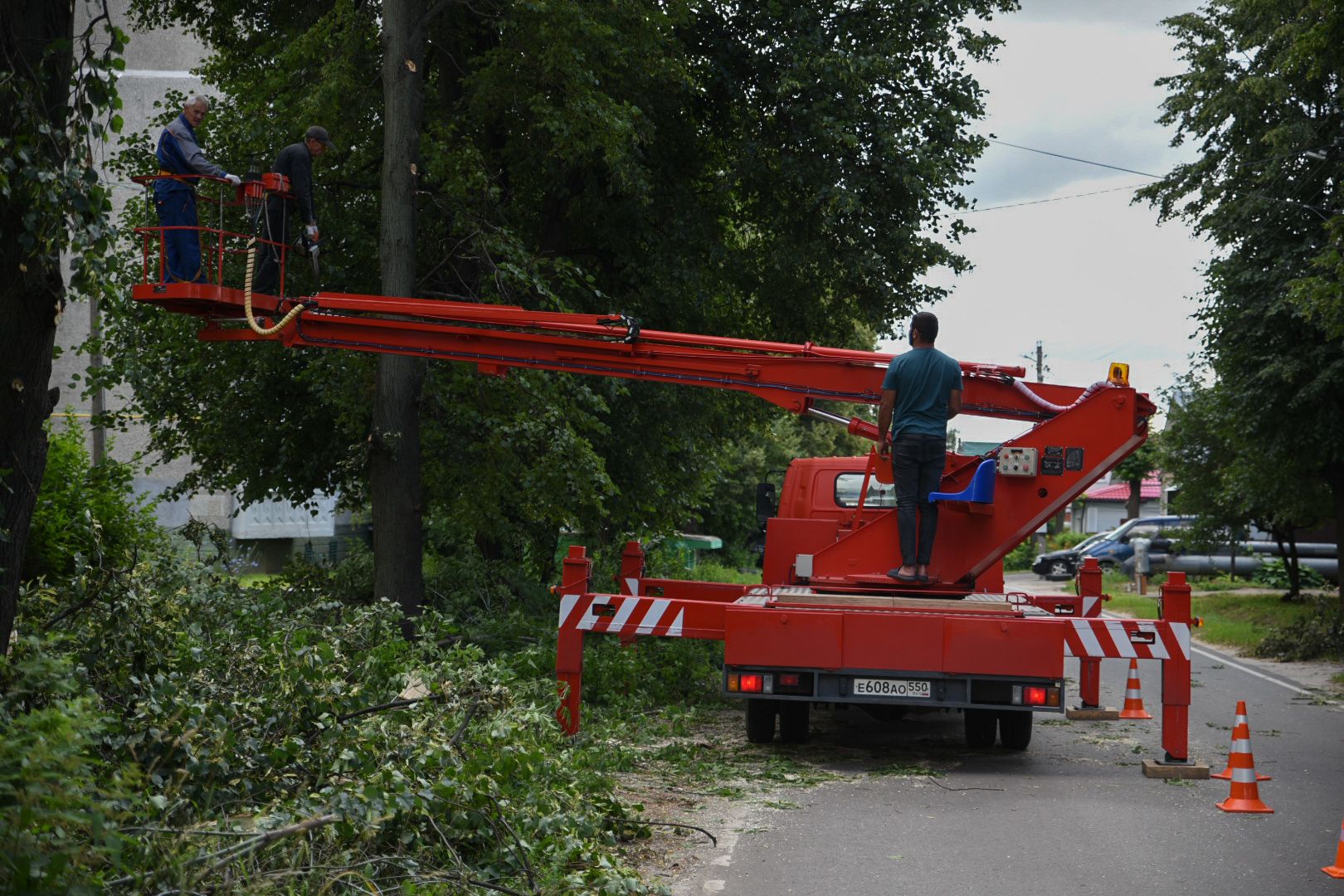 Бронницы, опиловка деревьев, Благоустройство, МБУ Благоустройство,