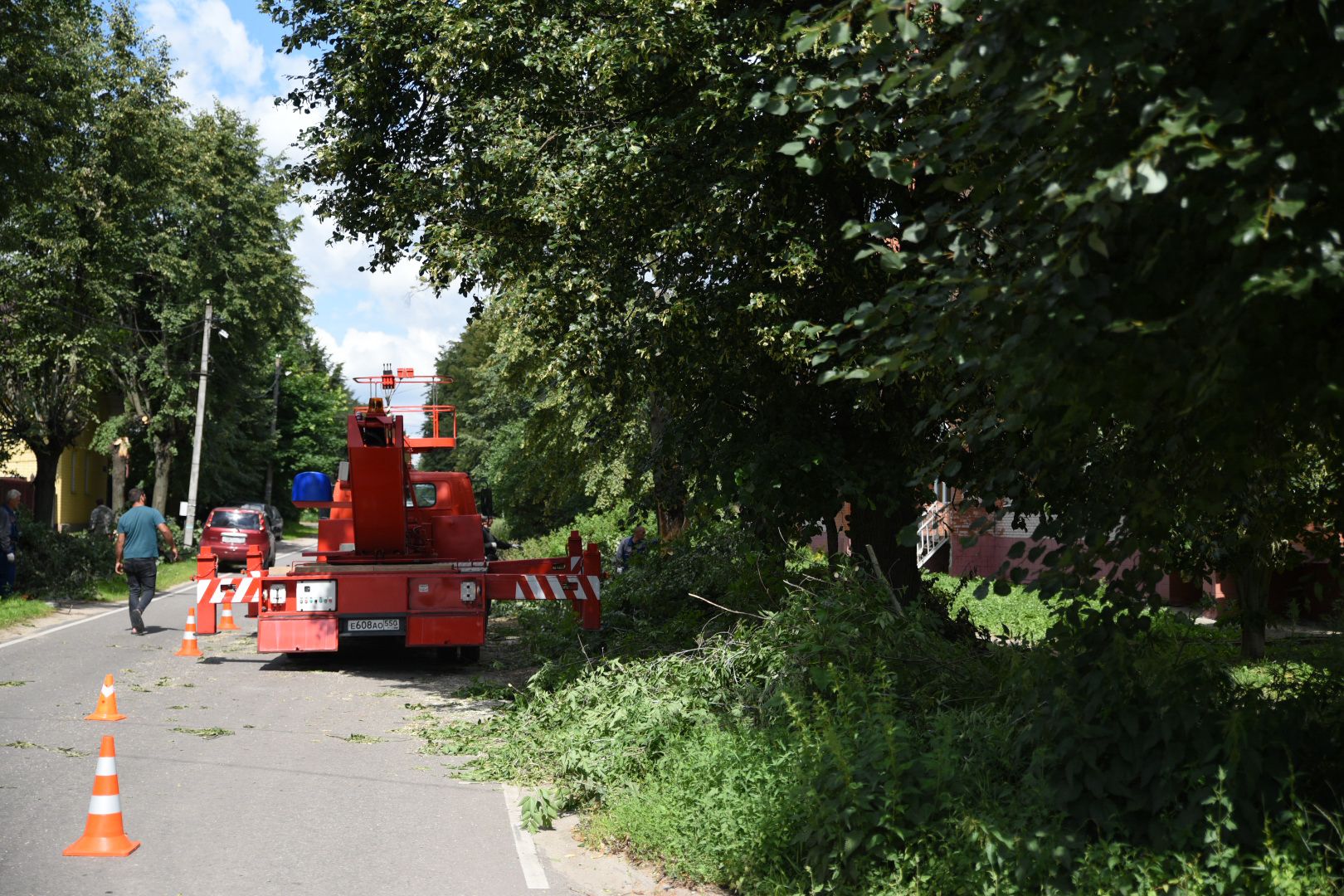 Бронницы, опиловка деревьев, Благоустройство, МБУ Благоустройство,