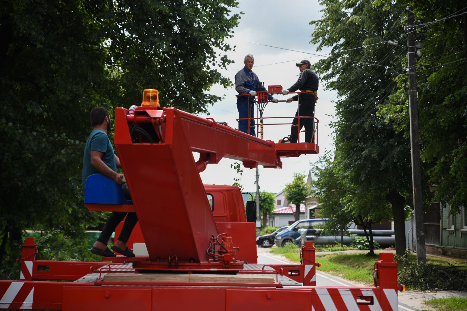Бронницы, опиловка деревьев, Благоустройство, МБУ Благоустройство,