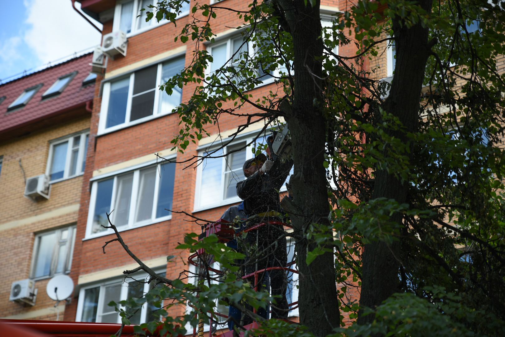 Бронницы, опиловка деревьев, Благоустройство, МБУ Благоустройство,