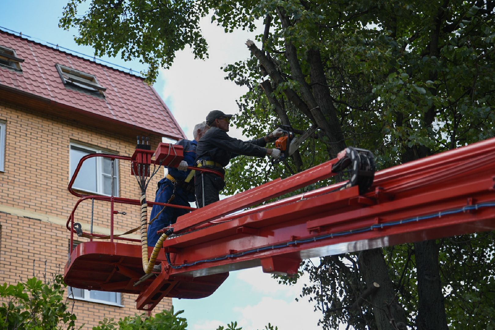 Бронницы, опиловка деревьев, Благоустройство, МБУ Благоустройство,