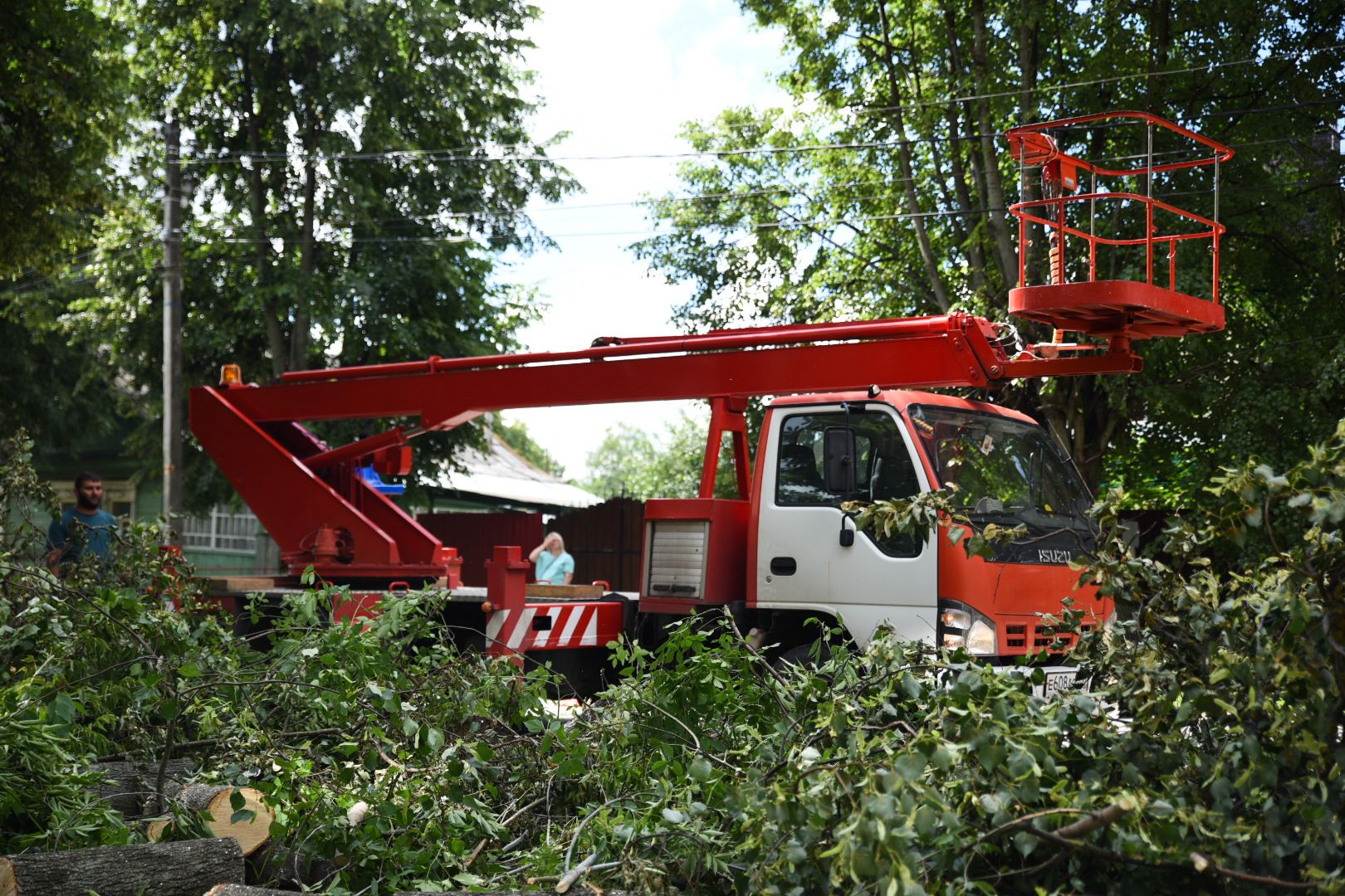 Бронницы, опиловка деревьев, Благоустройство, МБУ Благоустройство,