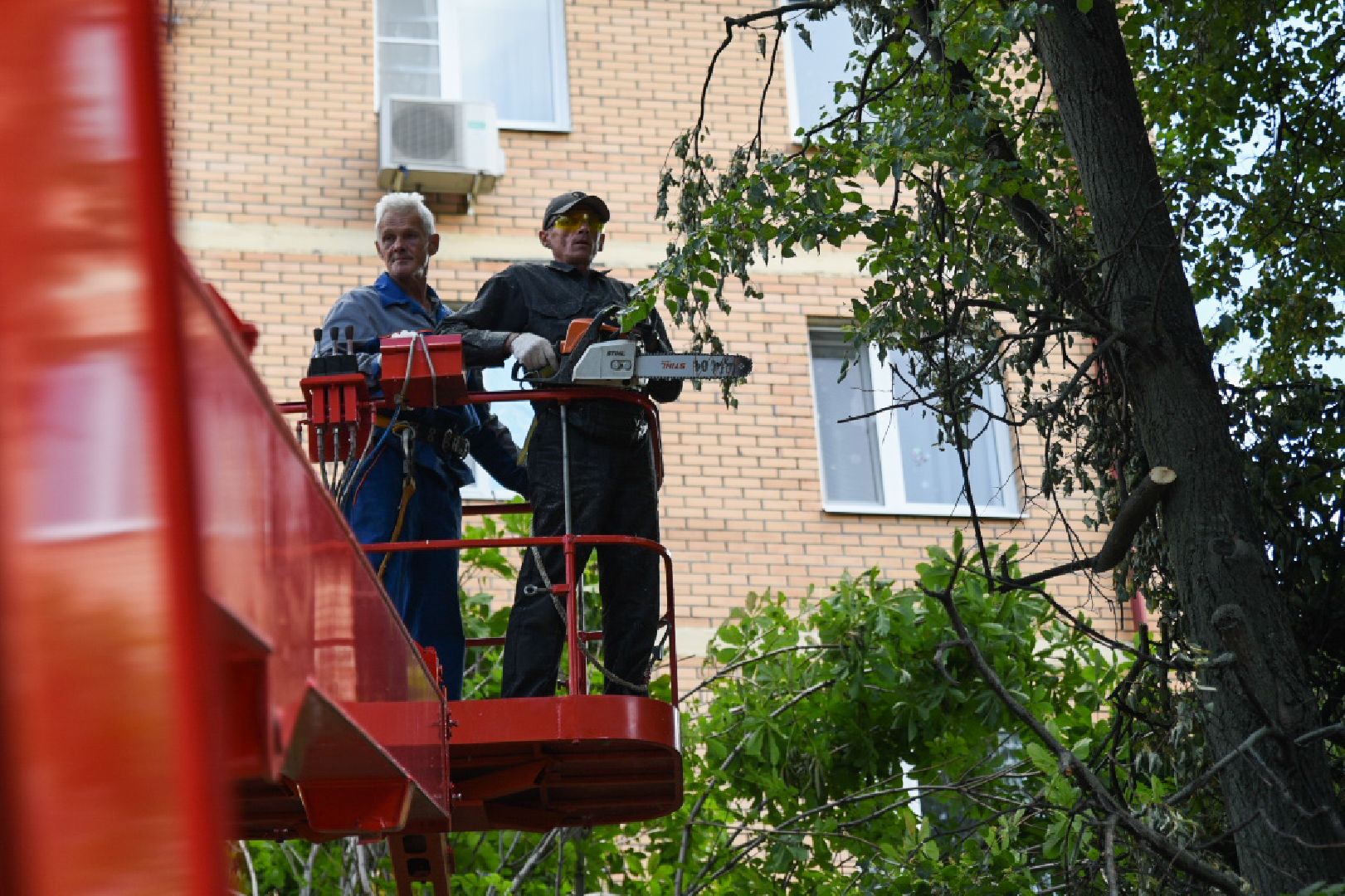 Бронницы, опиловка деревьев, Благоустройство, МБУ Благоустройство,