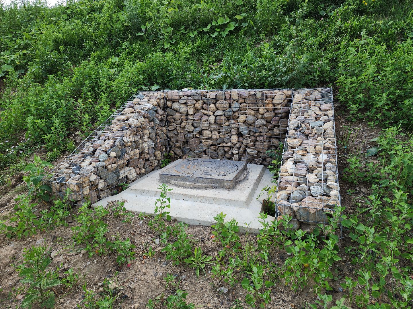 набережная, красногорск, павшинская пойма,