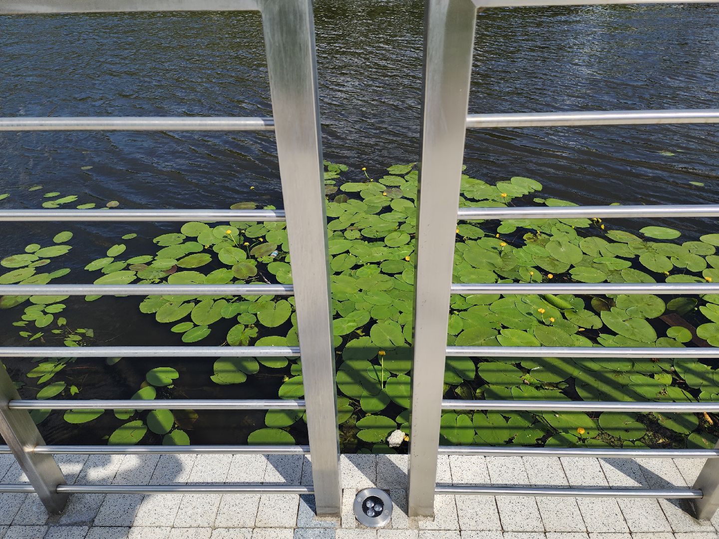 набережная, красногорск, павшинская пойма,