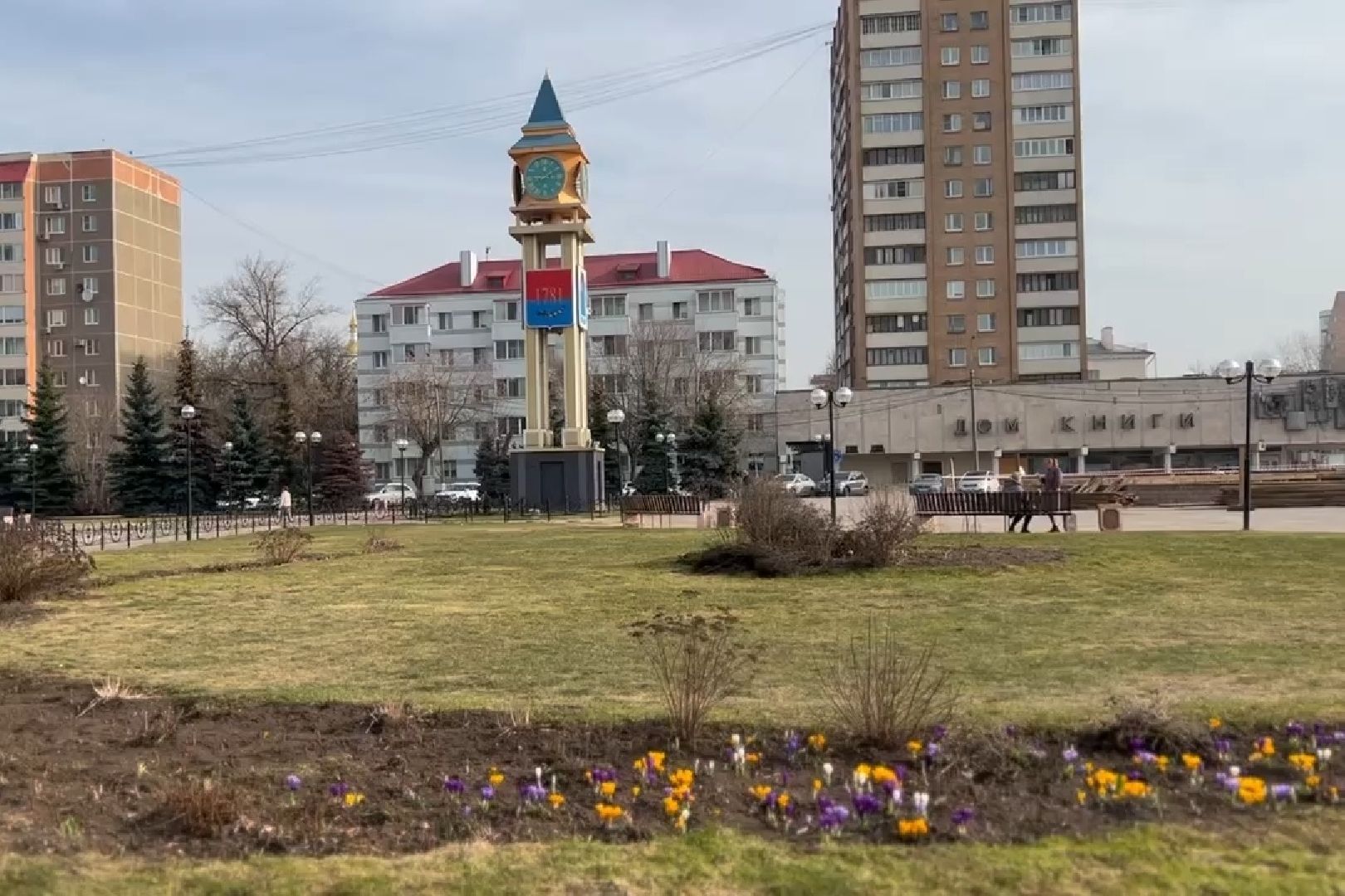 Подольск, цветы, крокус