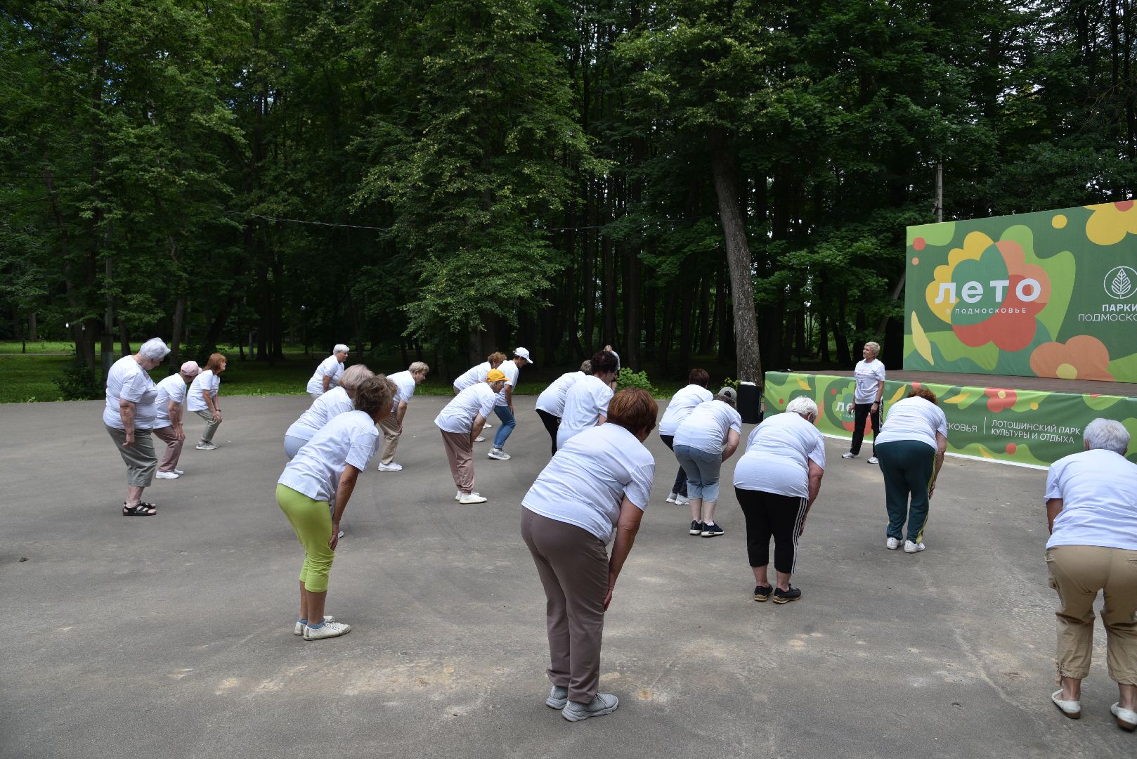 лотошино, лотошинский парк, активное долголетие, зарядка долголетов, парки подмосковья,