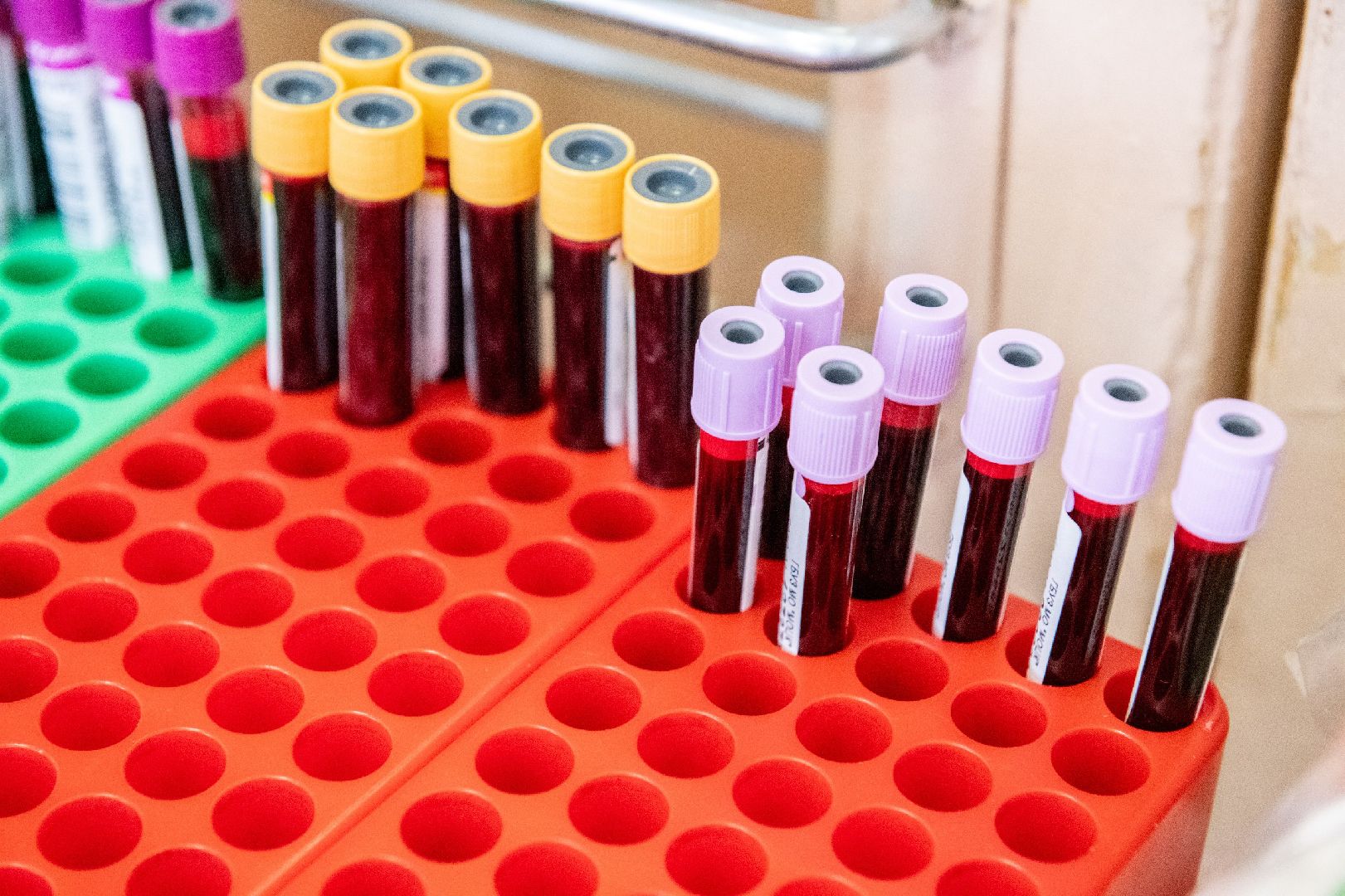 лыткарино, медицина, донорство, донор