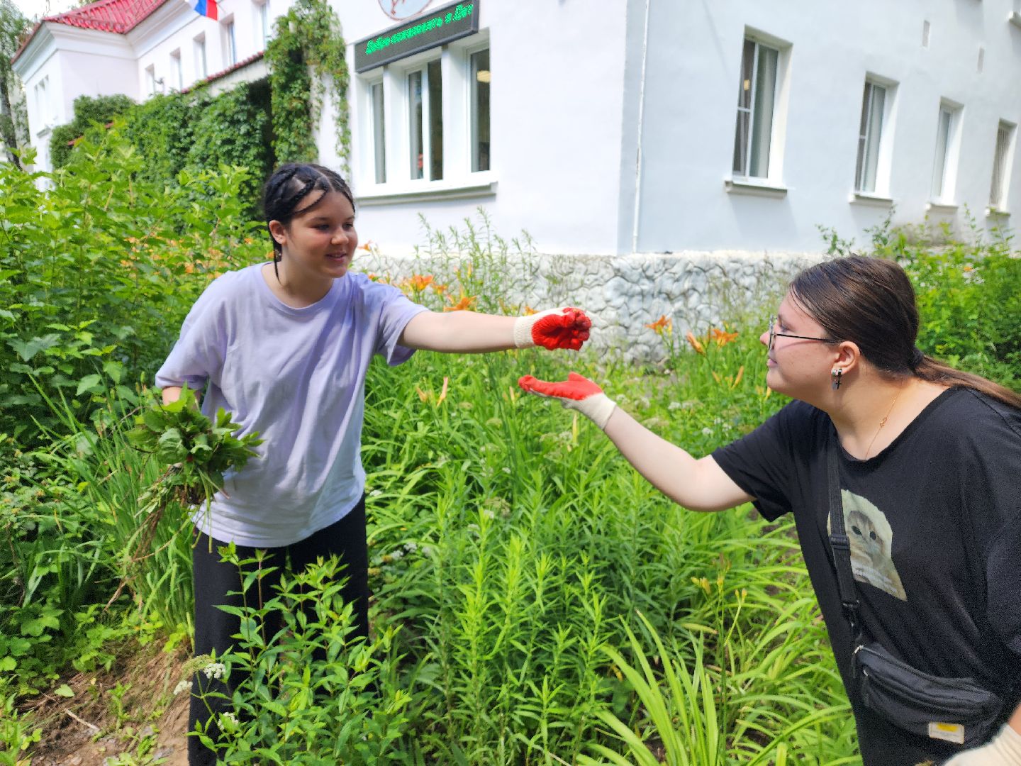 красноармейск, г.о. пушкинский, трудовая бригада, летние каникулы,
