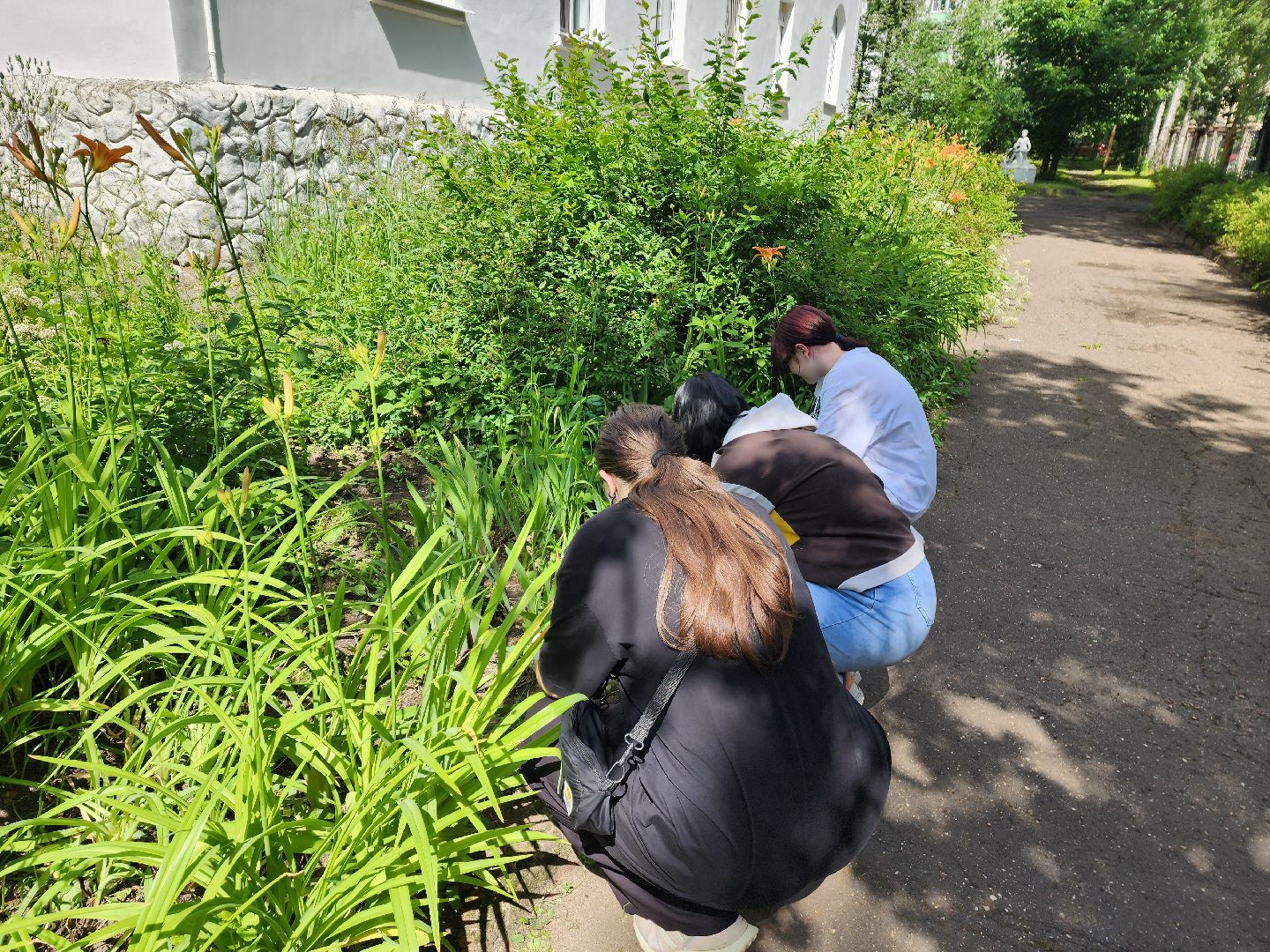 красноармейск, г.о. пушкинский, трудовая бригада, летние каникулы,