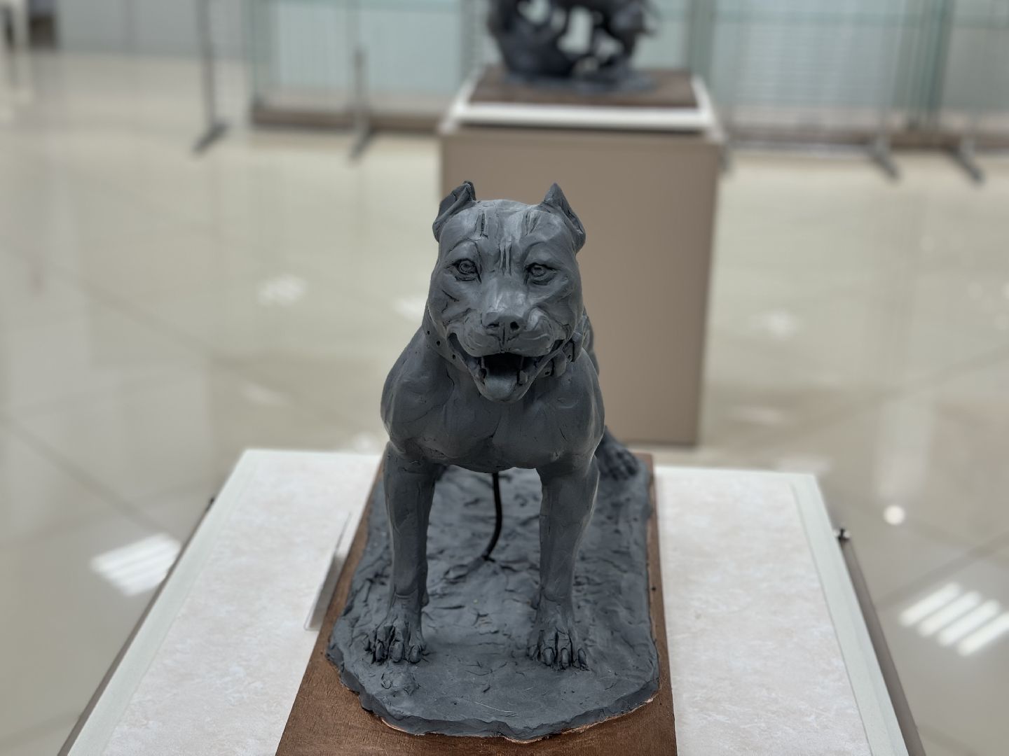 шаховская, выставка, художник, художественная выставка,