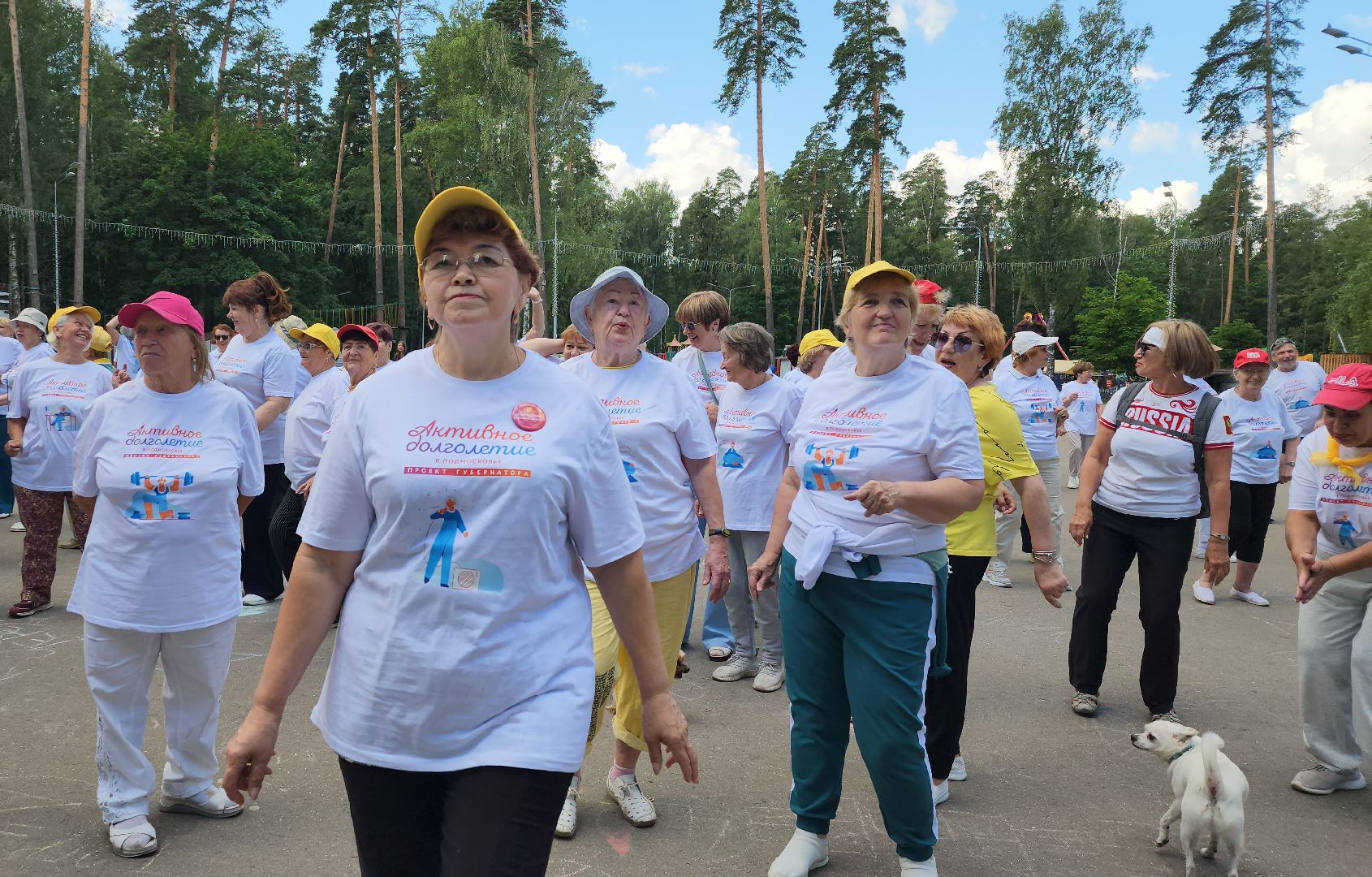Активное долголетие, Зарядка долголетов, Центральный парк, Ногинск, Богородский городской округ,