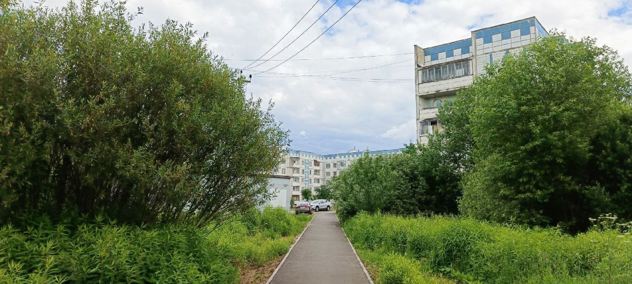 Талдом, Запрудня, Программа Пешком, Народные тропы,