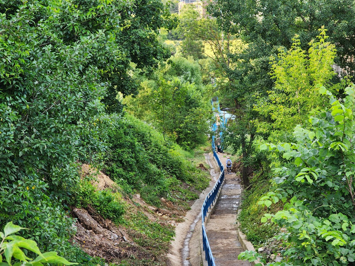 Подольск, выездная администрация, Деревня Лемешево, обращение жителей,
