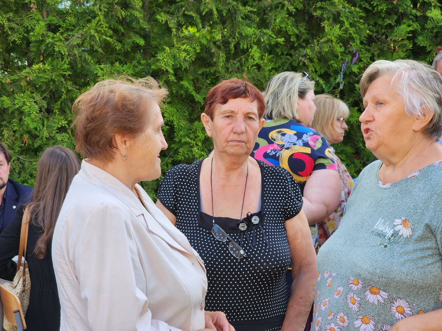 Подольск, выездная администрация, Деревня Лемешево, обращение жителей,