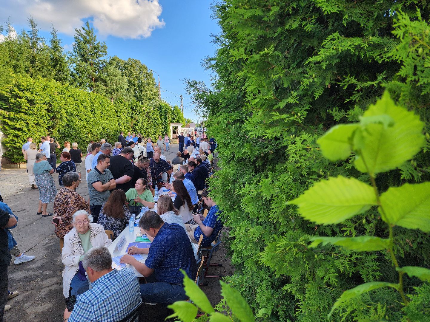 Подольск, выездная администрация, Деревня Лемешево, обращение жителей,